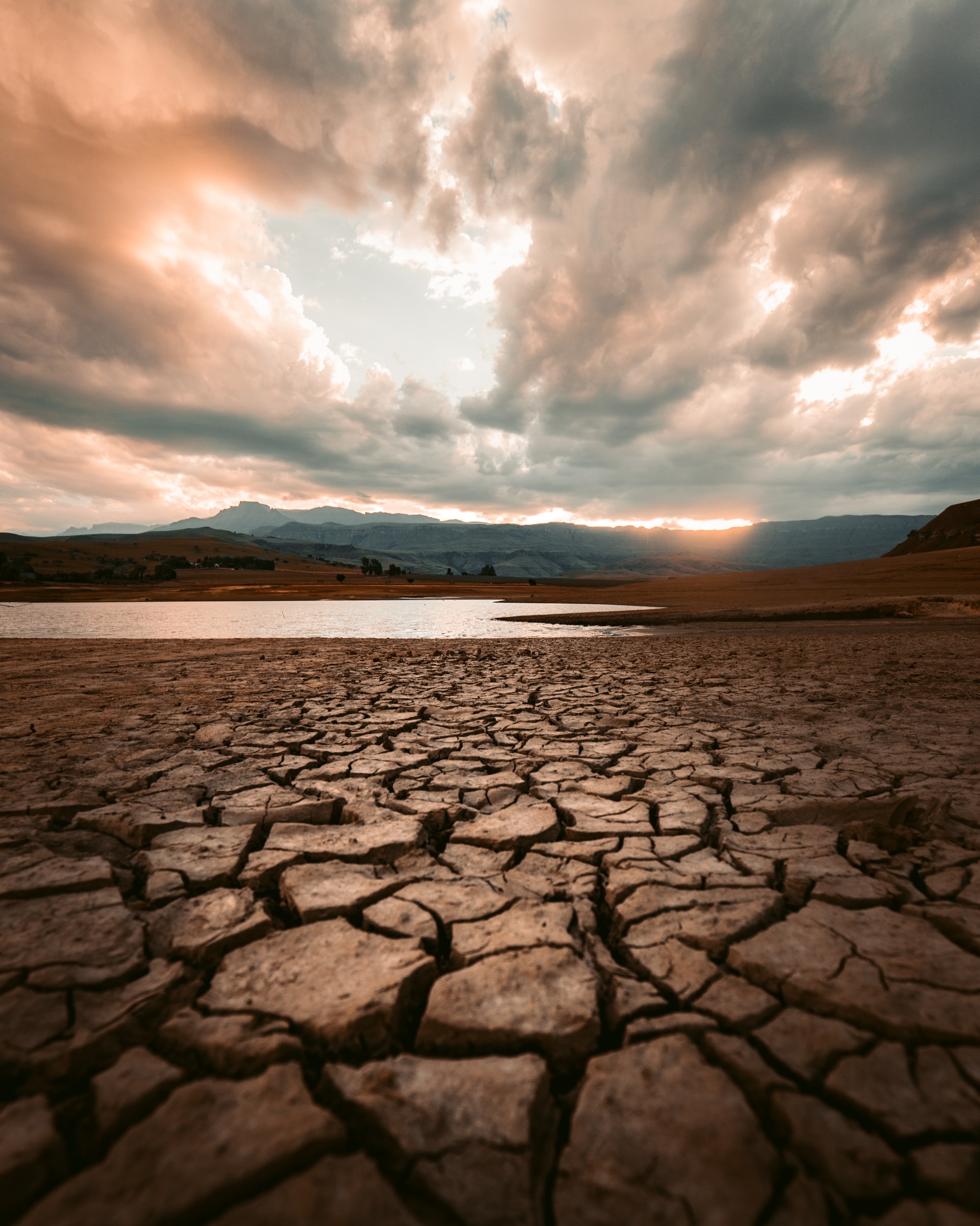 Changement climatique